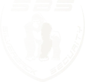 SBS Security GmbH